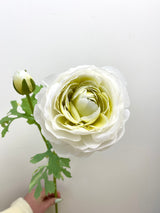 White Ranunculus Spray