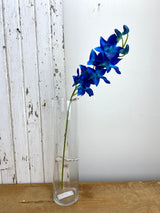 Real Touch Dendrobium Orchid Stem
