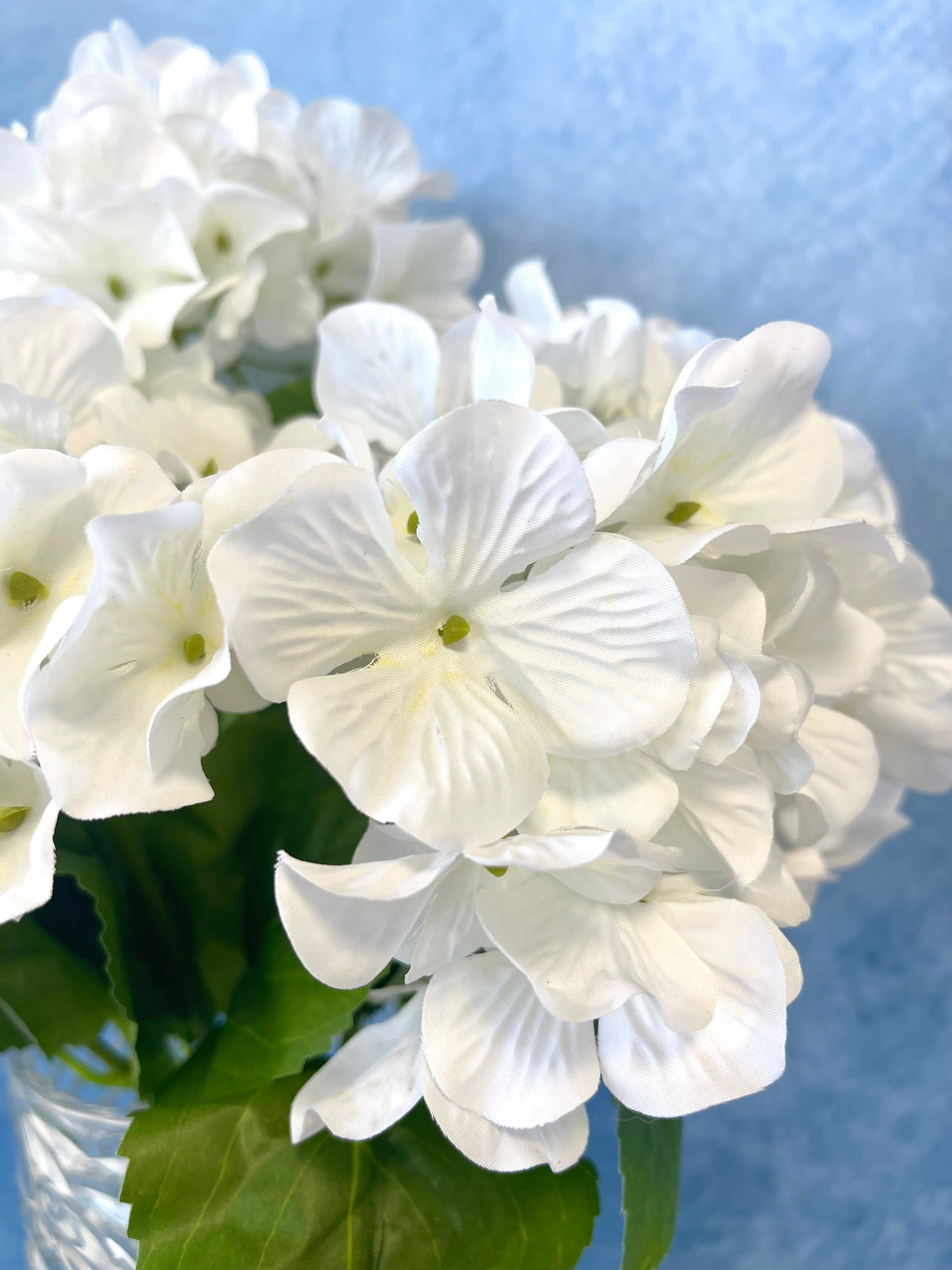 White UV Protect Hydrangea Bush