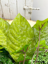 31" Simple Green Swag