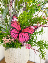 32" Cottage Dream Drop In