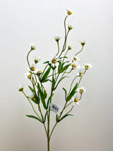 Cream White Wild Daisy Spray