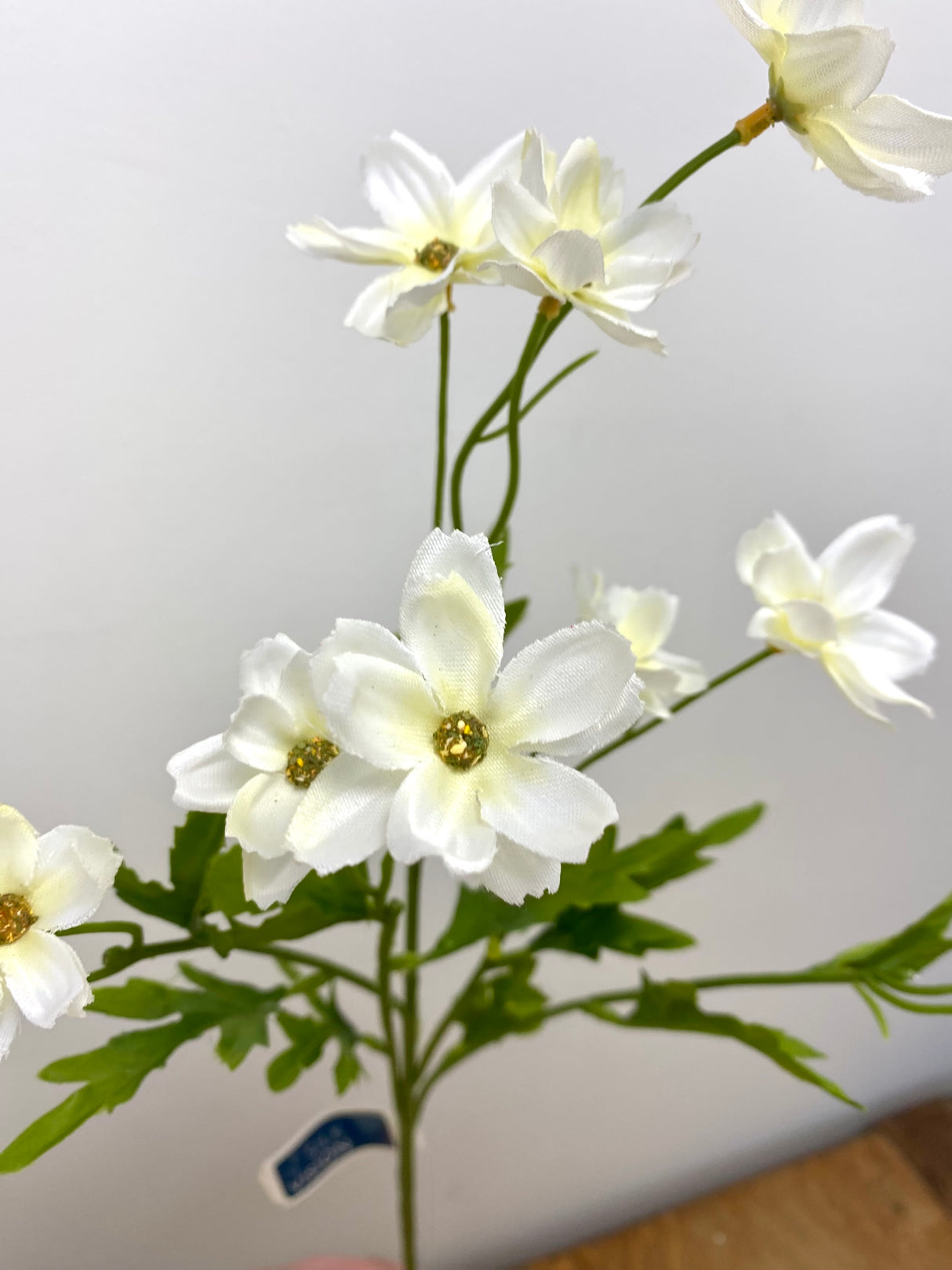White Mini Cosmos Spray