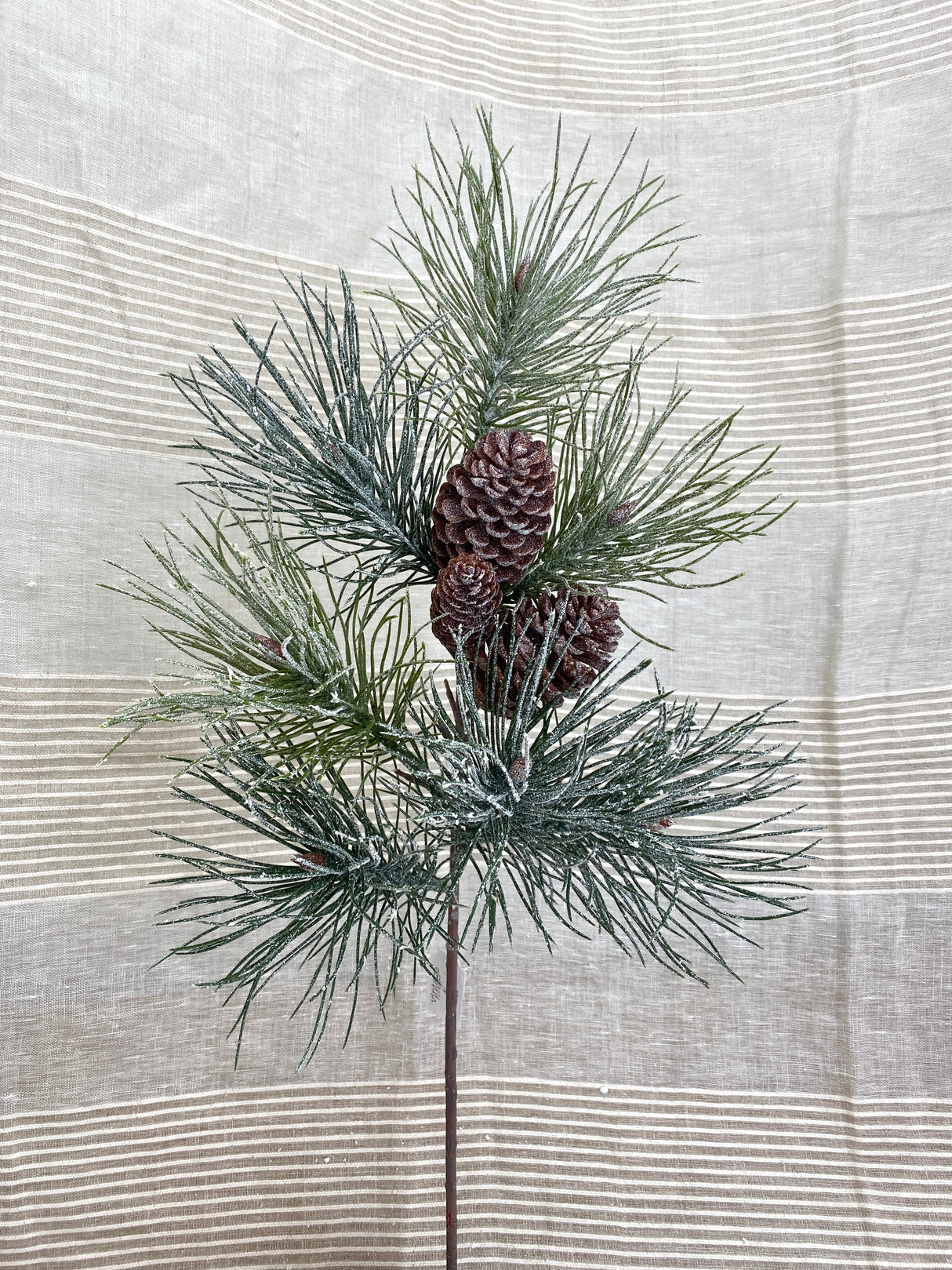Frosted Emperor Pine Spray