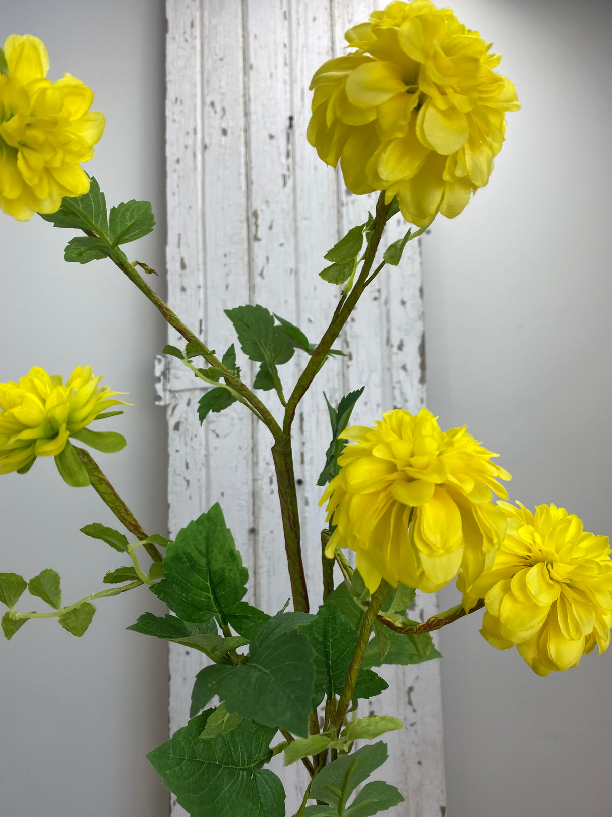 Yellow Dahlia Spray