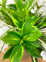 21" UV Protect Hydrangea and Spider Plant Pot-Filler