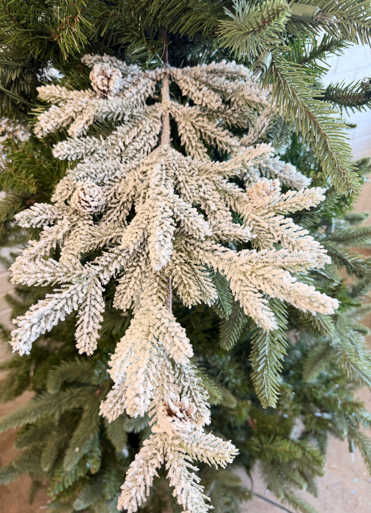 Snow Flurry Pine Stem