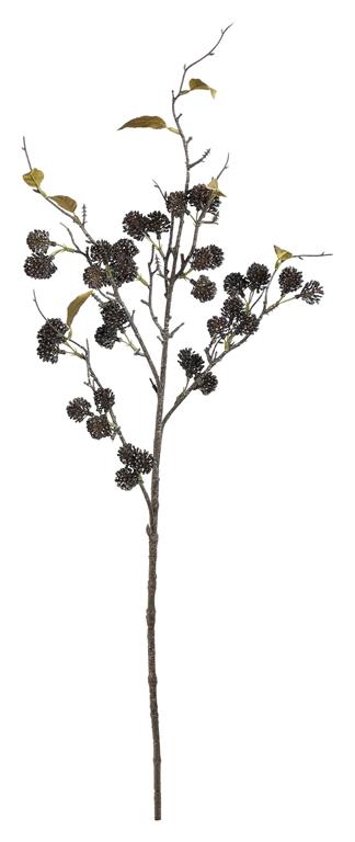 Black Pearl Fruit Branch