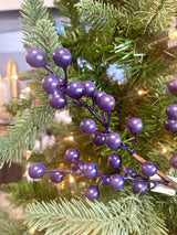 Blue Bitty Berry Pick