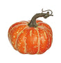 Small Orange Pumpkin