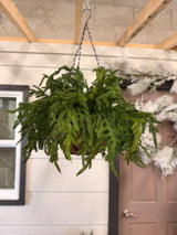 20" Real Touch Winter Pine Hanging Basket