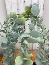 UV Protect Eucalyptus Hanging Bush