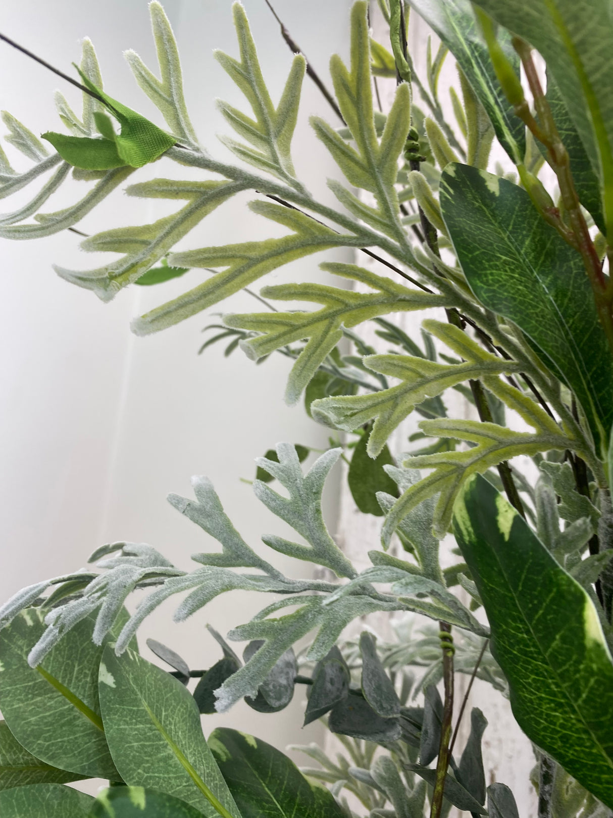 38" Variegated Veronica Drop-in