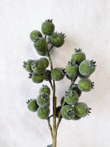 Bright Ice Pod Spray