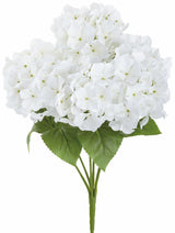 White UV Protect Hydrangea Bush