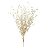 Beige Cattail Grass Bundle