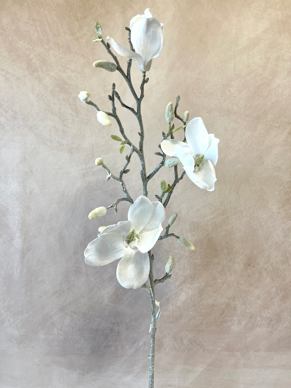 Frosted Magnolia Spray