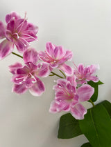 Nova Pink Jasmine Spray