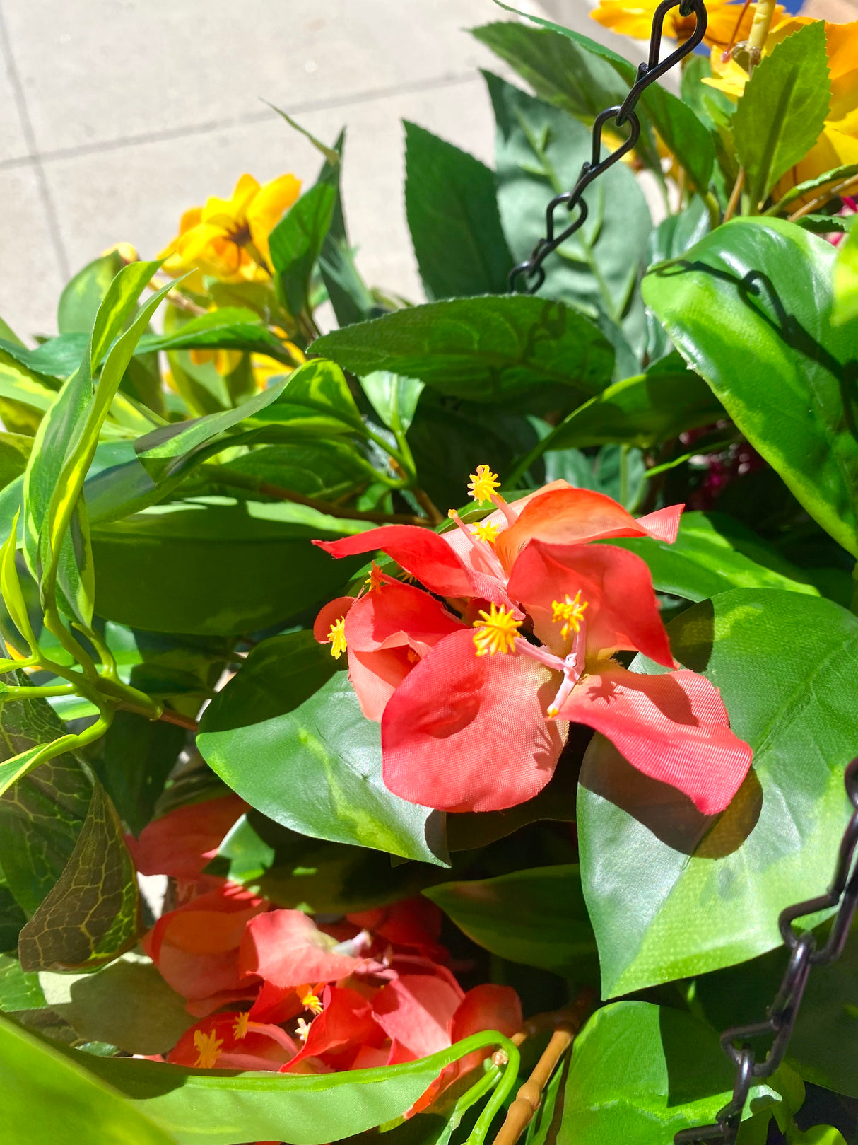 23" Summer Tropical Breeze Hanging Basket