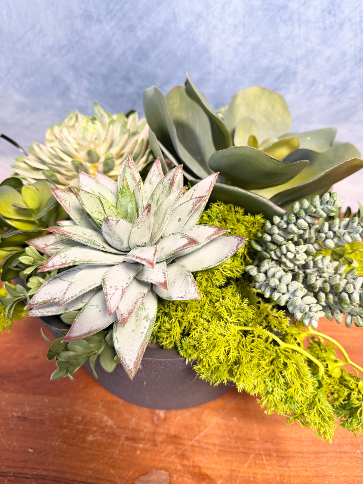 16"UV Desert Dream Planter