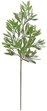 Mixed Olive Branch