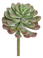 Silk sage burgundy tear leaf succulent for transitional everyday home decor from Magnolias Home Decor