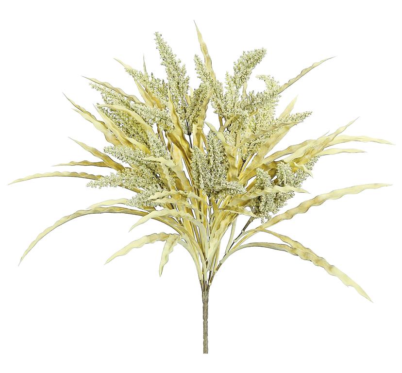 Beige Seeding Grass Bush