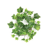 10" Green Ivy Candle Ring