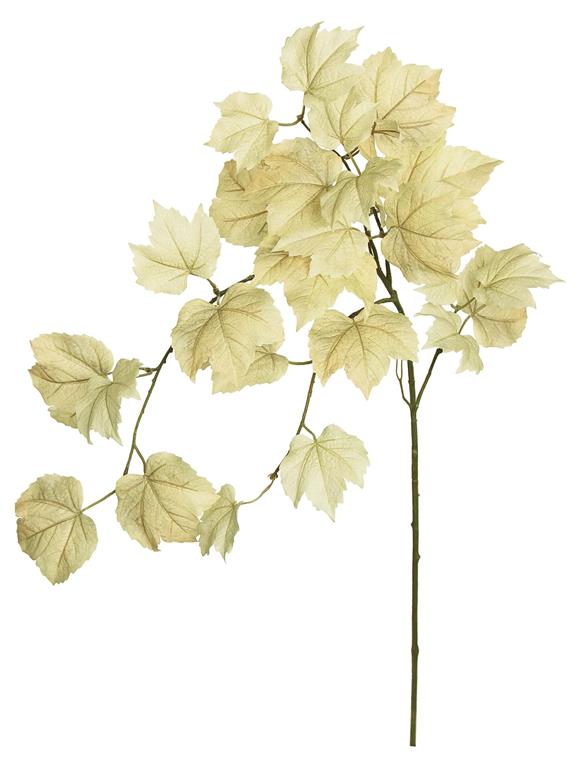 Draping Beige Maple Leaf Spray