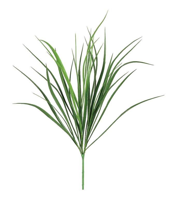 UV Protect Feathery Reed Bush
