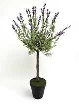 Potted Lavender Topiary Plant