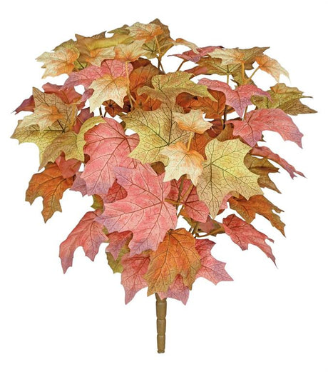Fall Maple Bush