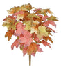 Fall Maple Bush