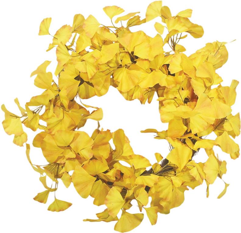 24" Yellow Gingko Leaf Wreath