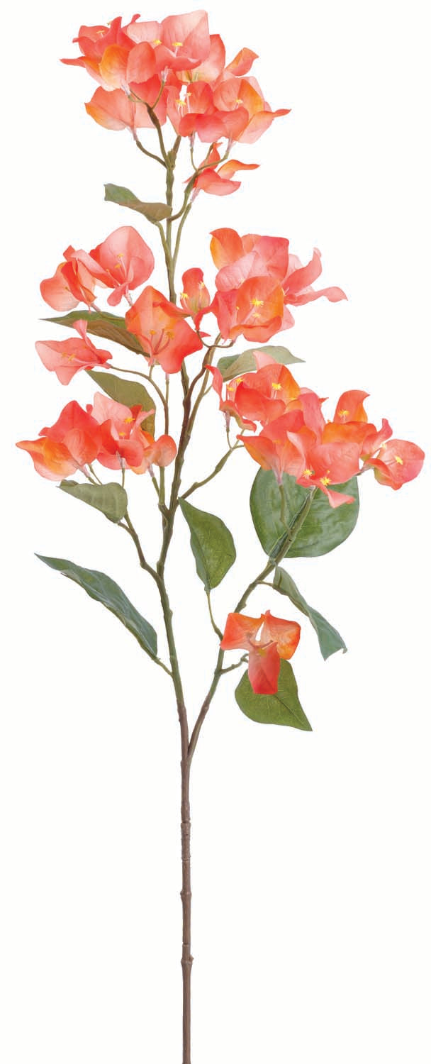 Coral UV Protect Bougainvillea Spray