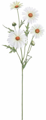 Timeless White Daisy Spray