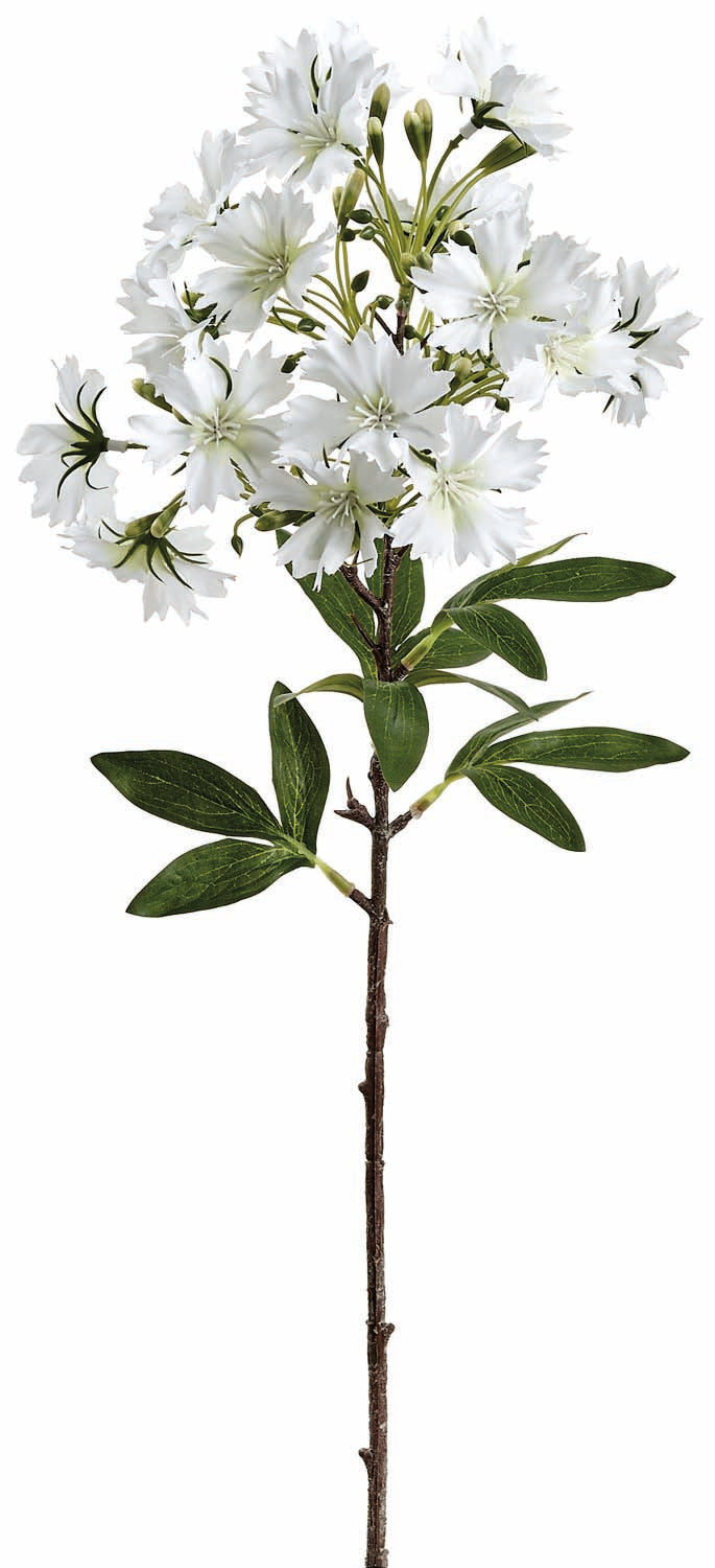 Treasure Dianthus Spray