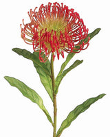 Red Open Needle Protea Spray