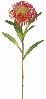 Red Open Needle Protea Spray