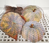 Pumpkin Patch Bag of 6