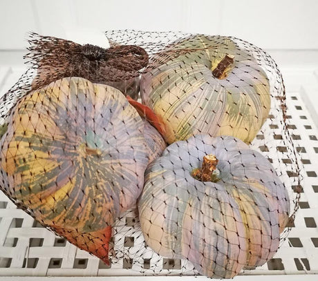 Pumpkin Patch Bag of 6