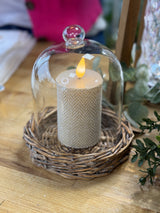 Willow & Glass Cloche