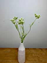 Wild Queen Annes Lace Spray