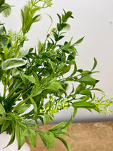 Blooming Foliage Bush