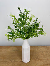 Blooming Foliage Bush