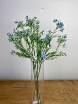 Blue Single Waxflower Spray