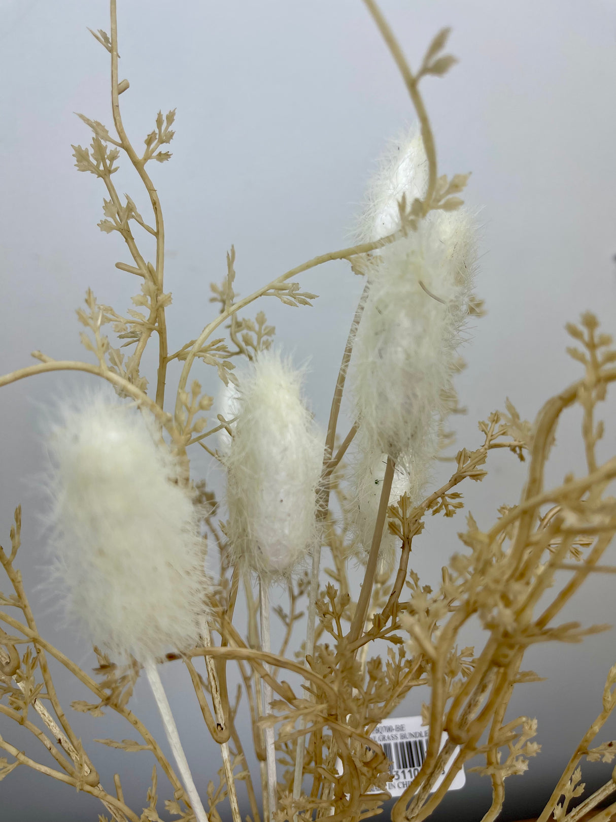 Beige Cattail Grass Bundle