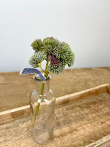 Mauve Mix Sedum Pick