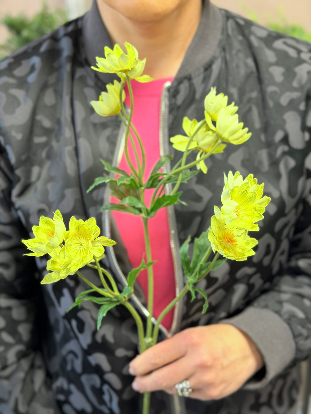 Green Lewisias Spray