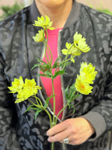 Green Lewisias Spray